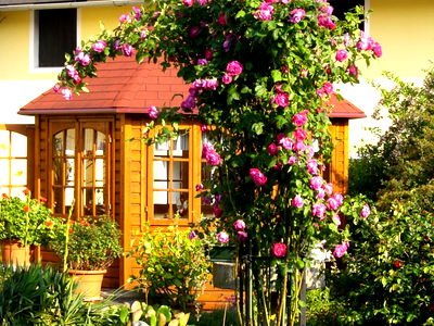 Bild 23 aus Bauernhof Webinger