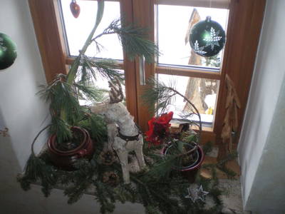 Bild 182 aus  Bacherhof