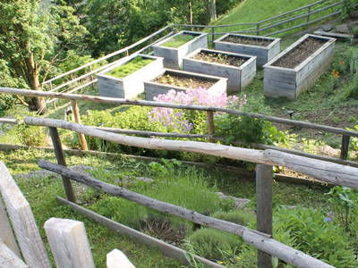 Bild 25 aus  Untererschbaum