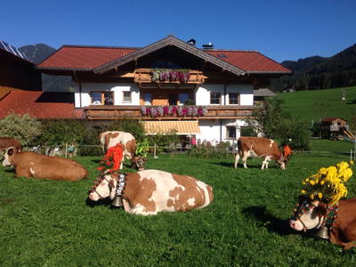 Bild 43 aus  Mesnerhof