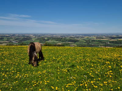 Bild 19 aus  Hochhubergut