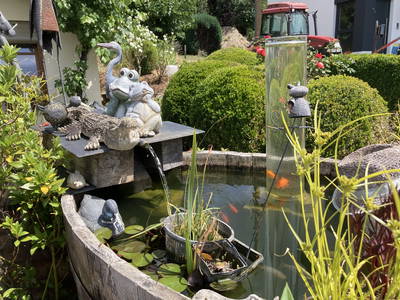 Bild 21 aus  Weingut und Gästehaus Kruft-Willems