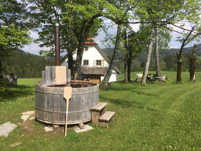 Bild 56 aus  Die Hinterbreiteneben - Natur, Alleinlage & Ski