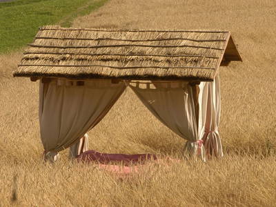 Bild 21 aus  Verwöhnbauernhof im Mühlviertel