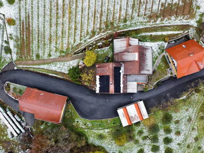 Bild 81 aus  Weingut Stoff