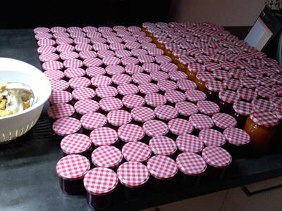 Bild 51 aus  Anderlbauer