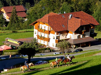 Bild 38 aus Aparthotel & Restaurant Ederhof
