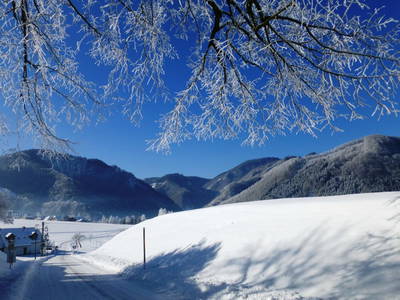 Bild 46 aus  Lehnerhof