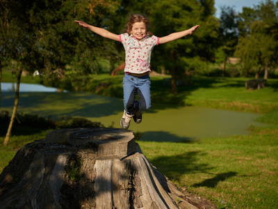 Bild 35 aus  Gut Friederikenhof