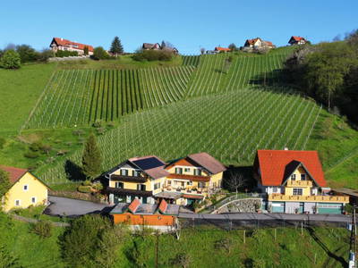 Bild 2 aus  Weingut Stoff