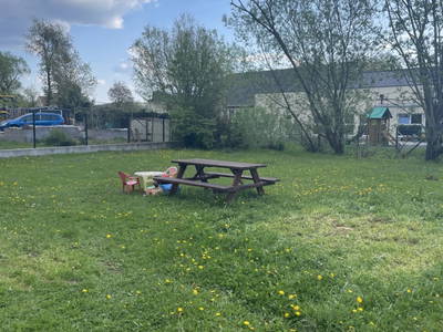 Bild 26 aus  Familien und Pferdebauernhof