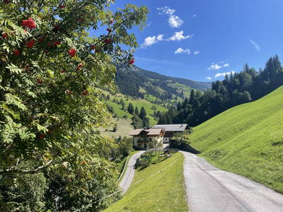 Bild 9 aus  Pfandlinghof