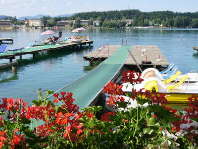 Bild 51 aus  Bauernhof Hofmayer