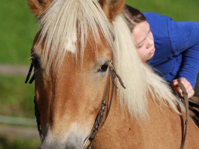 Bild 12 aus  Landhaus Berthold