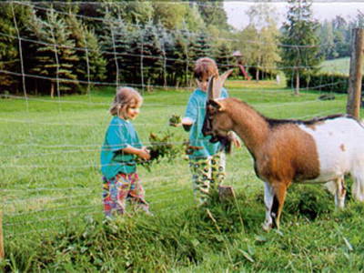 Bild 11 aus  Hotel Gasthof Sieberzmühle