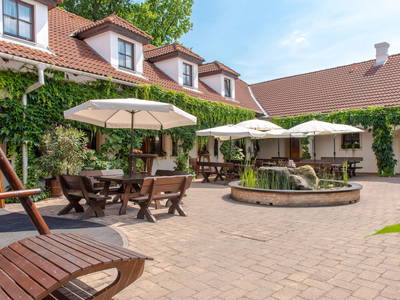 Bild 2 aus  Weingut Burger