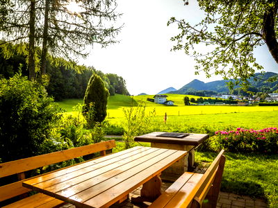 Bild 10 aus Bio Bauernhof Paulbauer