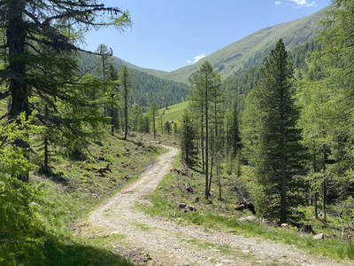 Bild 46 aus  Peitlerhütte