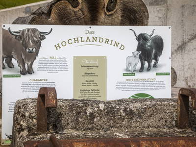 Bild 52 aus  Höllhof