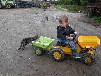 Bild 12 aus  Ferienhof Wiesengrund