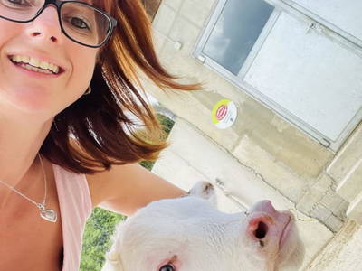 Bild 51 aus  Moarbauerhof