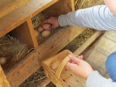 Bild 6 aus  Marchlhof