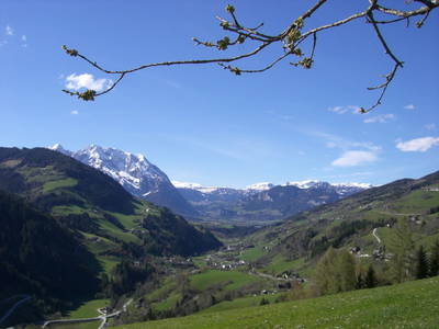 Bild 71 aus  Badlechnerhof