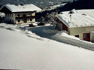 Bild 29 aus  Vorderreit