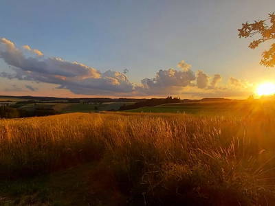 Bild 10 aus  Ferienhaus Plessberg
