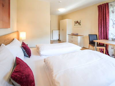 Bild 55 aus  Weingut Krispel