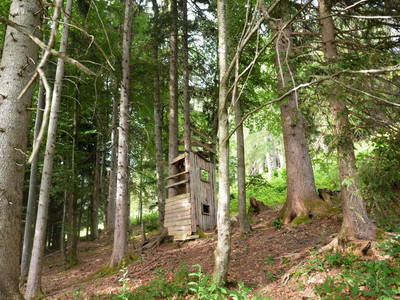 Bild 35 aus  Schwammerlhütte