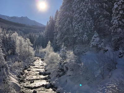 Bild 16 aus  Voithof