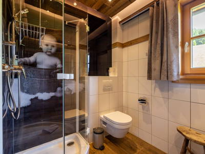 Bild 26 aus  Almresort Baumschlagerberg