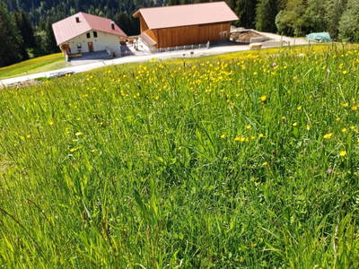 Bild 49 aus Vorderzettn
