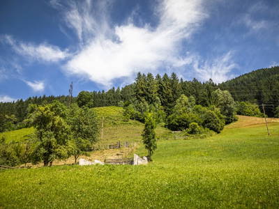 Bild 47 aus  Windischlehen