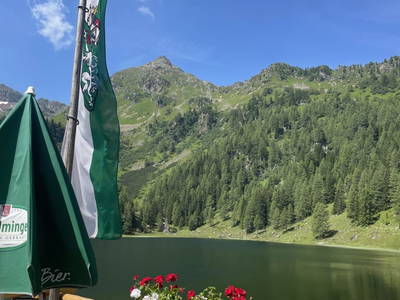 Bild 154 aus  Heisshof 