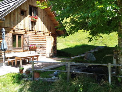 Bild 77 aus  Almhütte Meierle