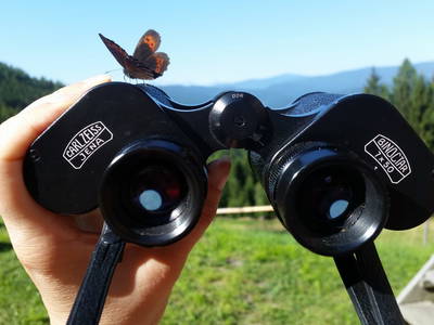 Bild 71 aus Pettacher Hütte