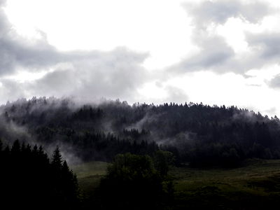 Bild 206 aus Arlitscherhof