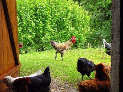 Bild 63 aus  Unteres Feld