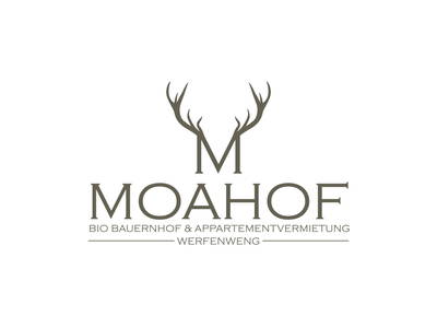 Bild 29 aus  Mayrhof