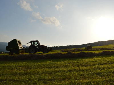 Bild 12 aus  Pircherhof - Adults Only am Biobauernhof