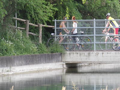 Bild 30 aus  Bauerhofurlaub zwischen den Touristenattraktionen Gardasee, Verona und Mantua