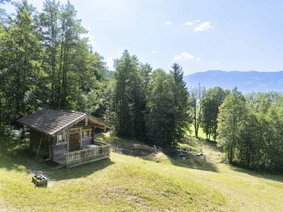 Bild 165 aus  Hoferbichlgut