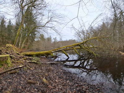 Bild 151 aus  Zehentnerhof