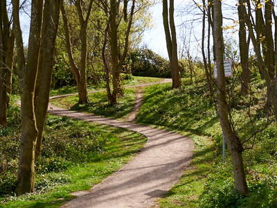 Bild 15 aus  Elsas Enkel Ostseeurlaub