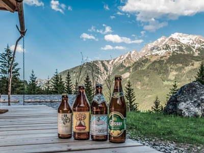 Bild 13 aus  Benglerwald Berg Chaletdorf