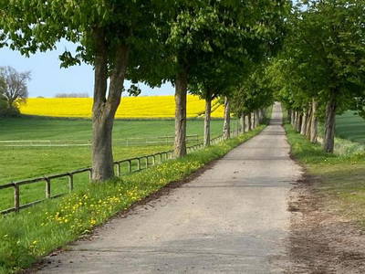 Bild 8 aus  Sprengerhof