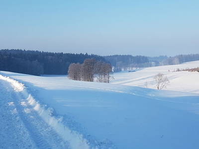 Bild 26 aus  Meuerhof - Familiär. Natürlich. Gut.