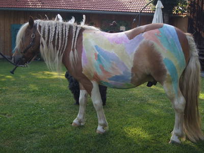 Bild 17 aus  Endlhof